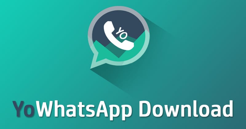 update yo whatsapp
