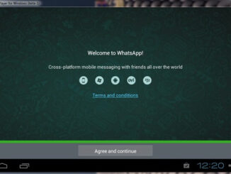 WhatsApp Desktop Video Call
