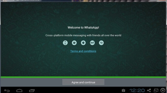 WhatsApp Desktop Video Call